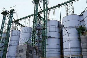 カニクレーンのレンタルが効果的な現場